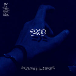 23