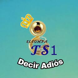 Decir Adiós