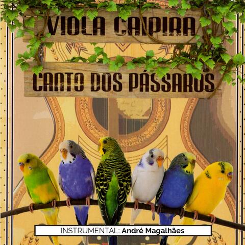Viola Caipira e Canto de Passaros