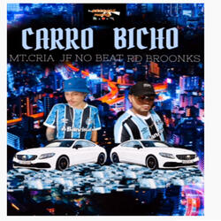 Carro Bicho