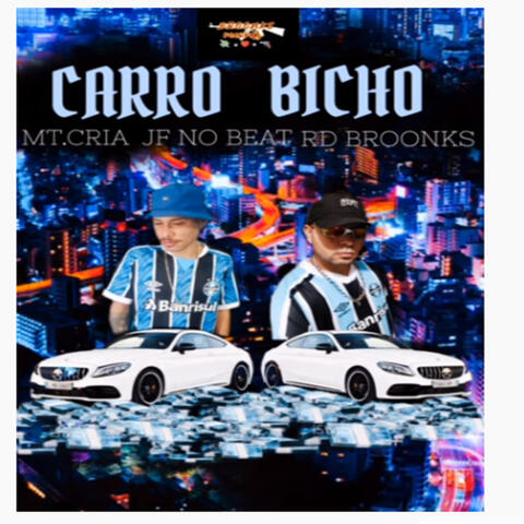 Carro Bicho