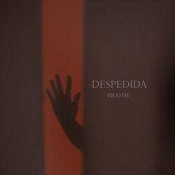 Despedida
