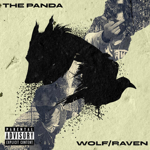 Wolf / Raven