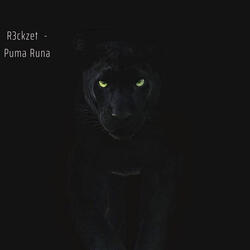 Puma Runa