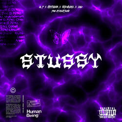 Stussy