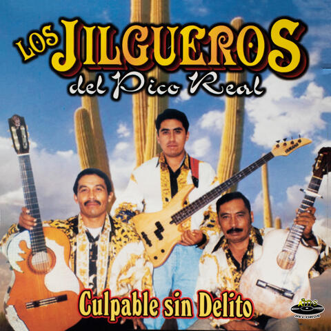 Culpable Sin Delito