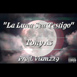 La Luna Sea Testigo