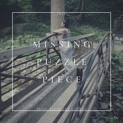 Missing Puzzle Piece