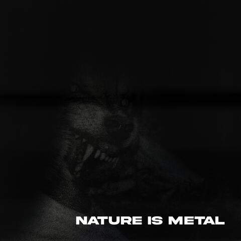 Nature Is Metal
