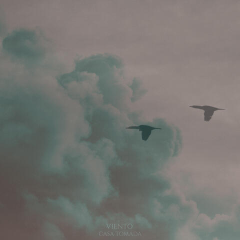 Viento