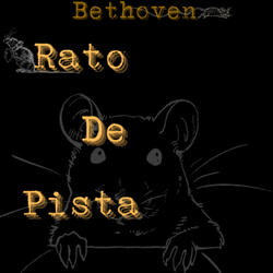 Rato de Pista