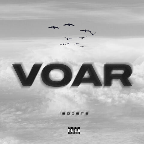 Voar