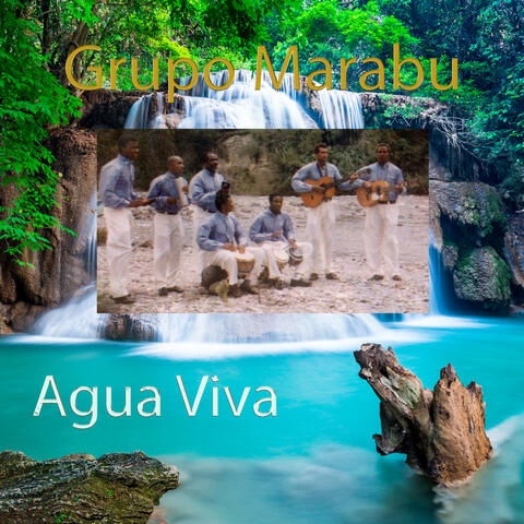 Agua Viva