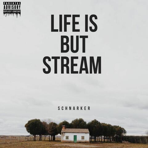 Life Is but Stream
