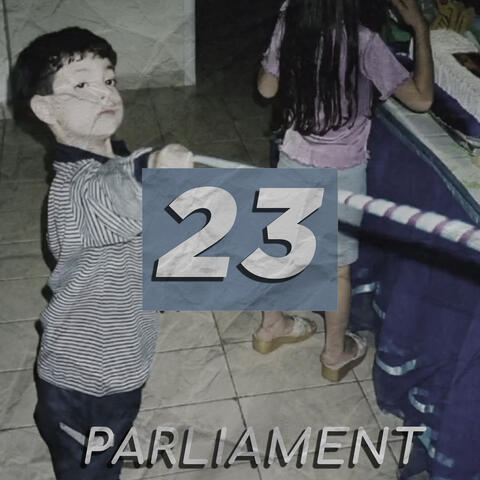 23