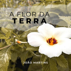 A Flor da Terra