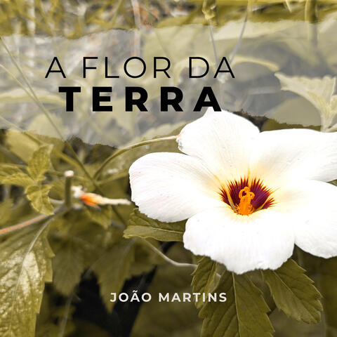 A Flor da Terra