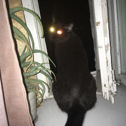 Мы на вайбе