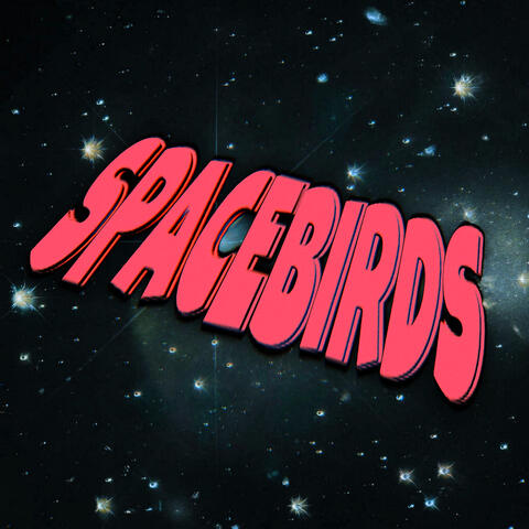 Spacebirds
