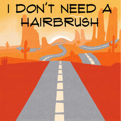 I Don't Need a Hairbrush