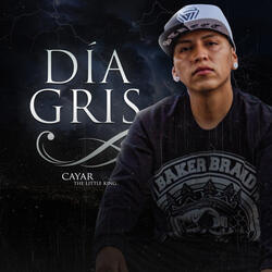 Dia Gris
