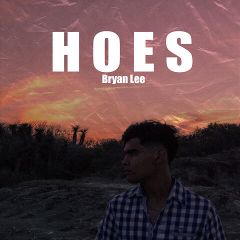 Hoes