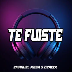 Te Fuiste