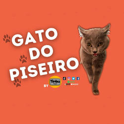 Gato do Piseiro
