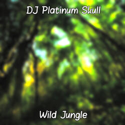 Wild Jungle