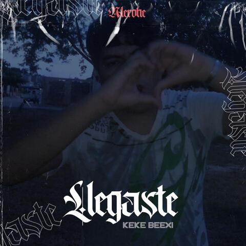 Llegaste