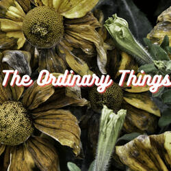 The Ordinary Things