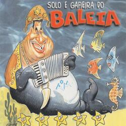 Abertura Rasga Baleia