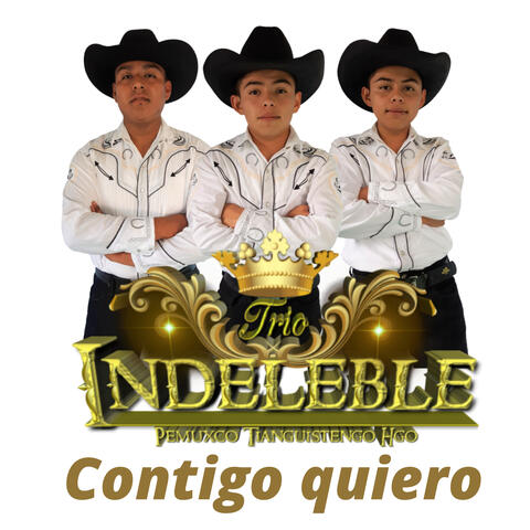Contigo Quiero