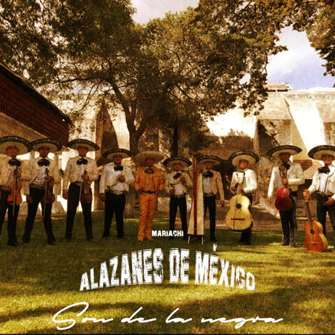 Son de la Negra