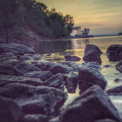 Across the Century Mow Dream