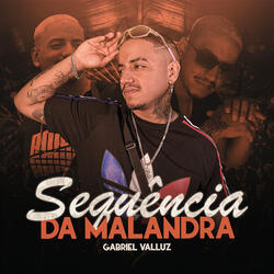 Sequência da Malandra