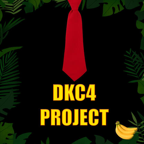 Dkc4 Project