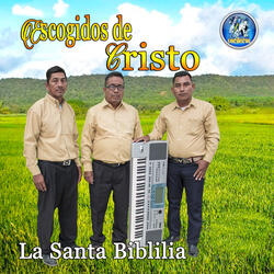 Aun Año Mas