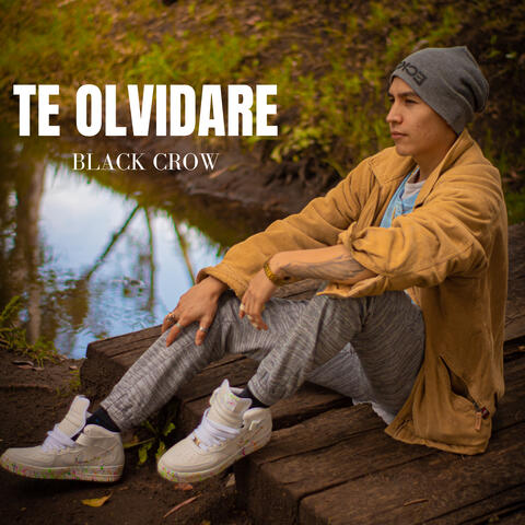 Te Olvidaré