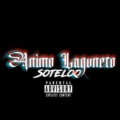 Animo Lagunero