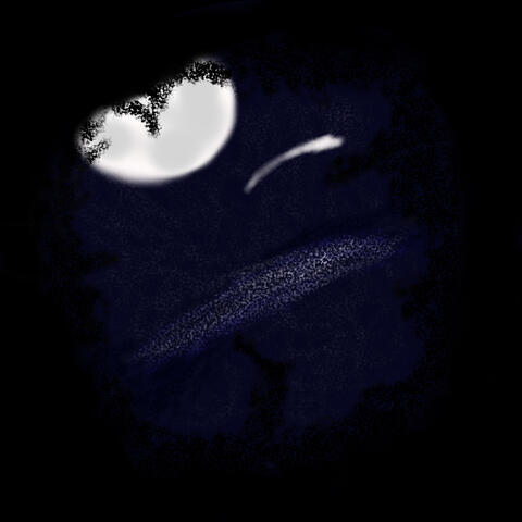 Midnight Forest