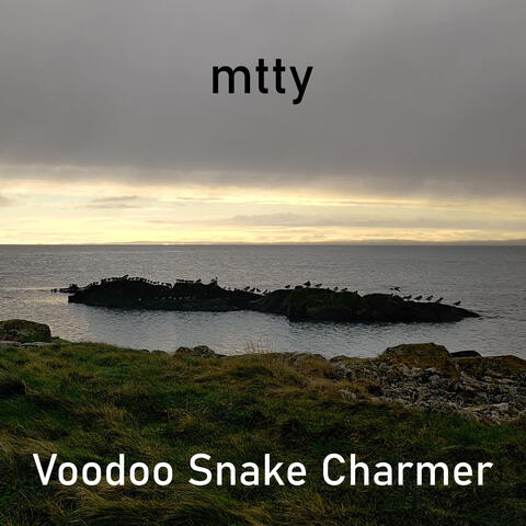 Voodoo Snake Charmer