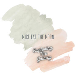 Exploring The Galaxy