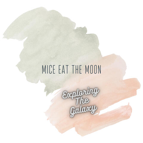 Exploring The Galaxy