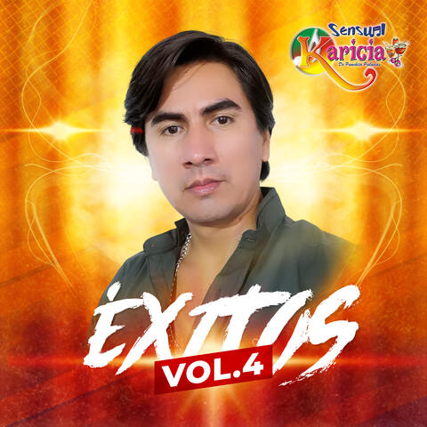 Exitos Vol. 4