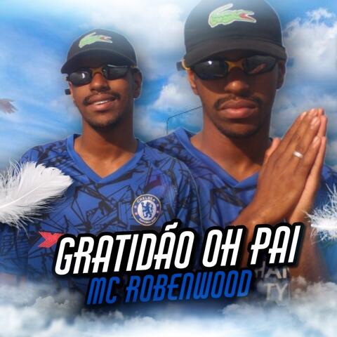 Gratidão Oh Pai
