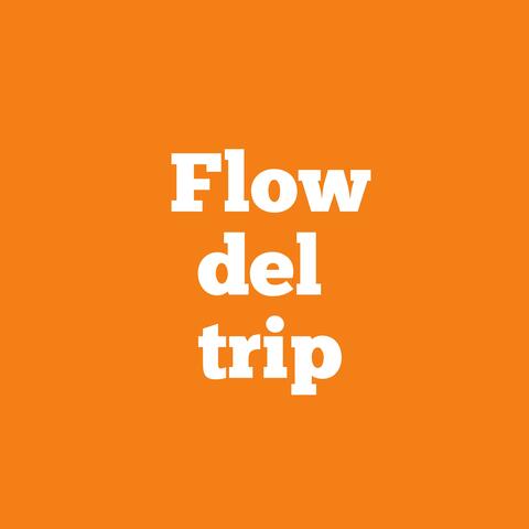 Flow del Trip