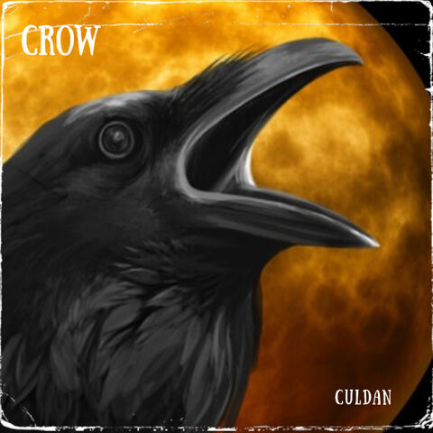 Crow