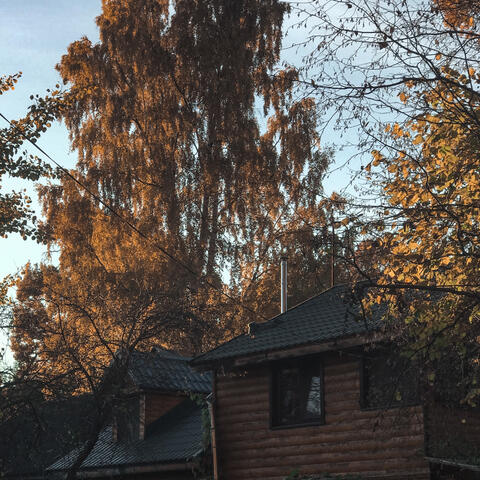 Вечерняя прогулка