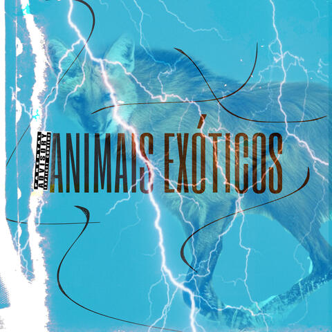 Animais Exóticos